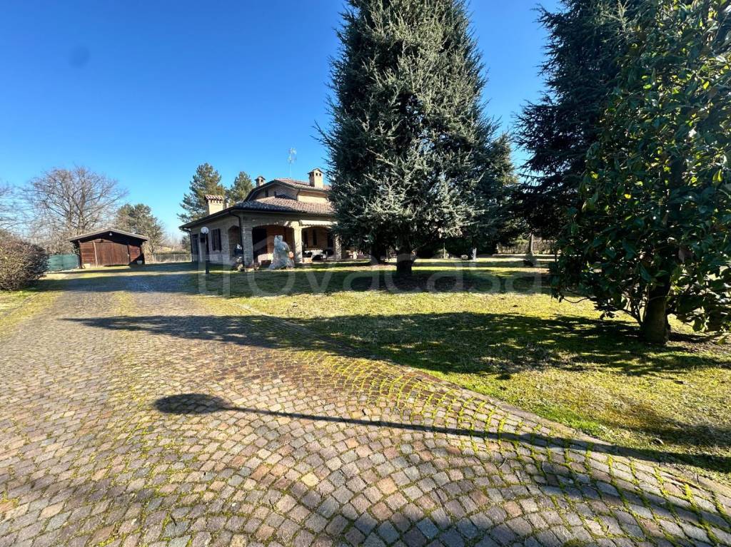 immagine annuncio 10 di 15