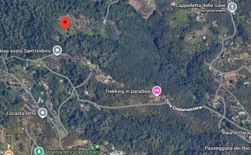 immagine annuncio 5 di 11