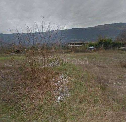 immagine annuncio 1 di 2