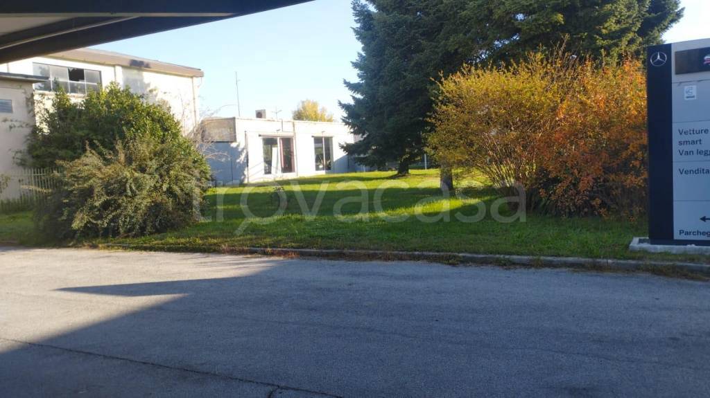 immagine annuncio 4 di 8