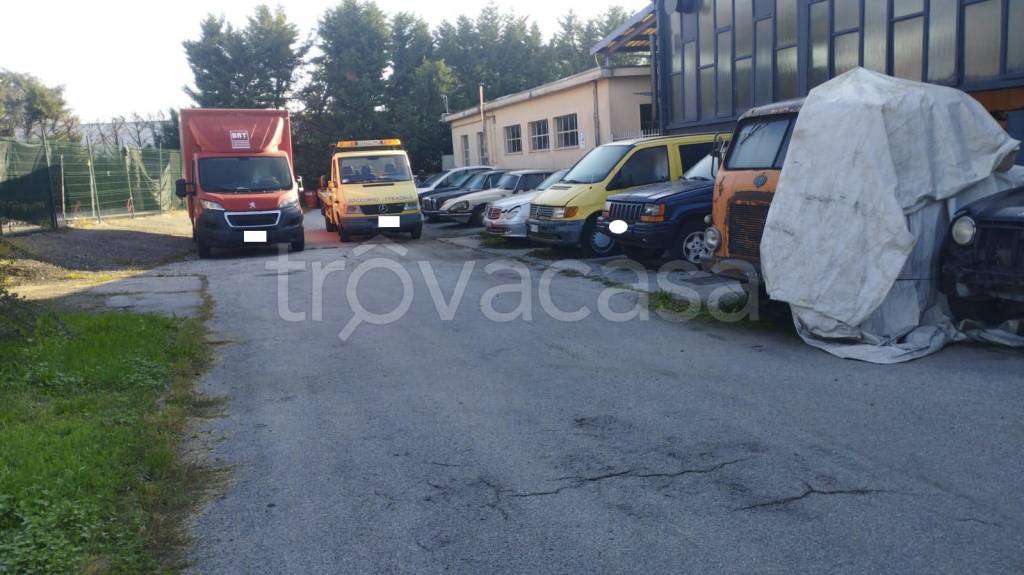 immagine annuncio 5 di 8