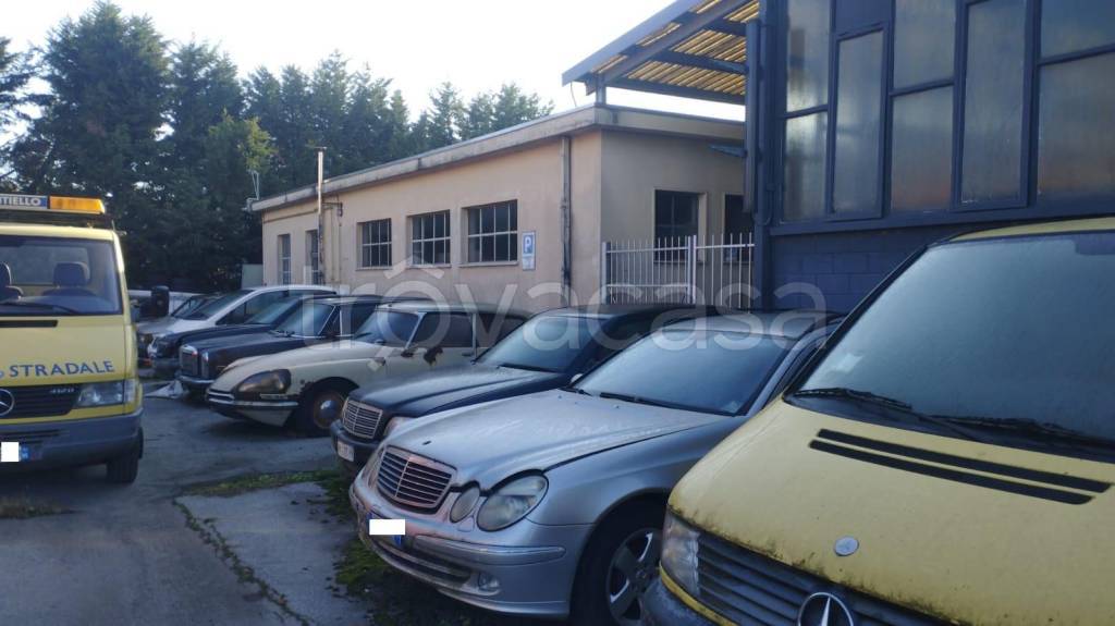 immagine annuncio 6 di 8