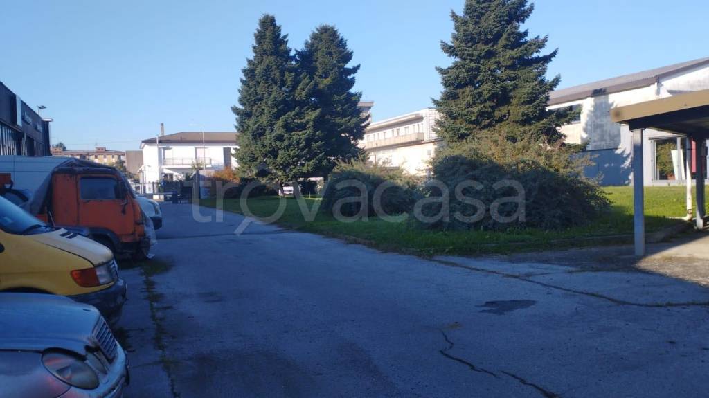 immagine annuncio 3 di 8