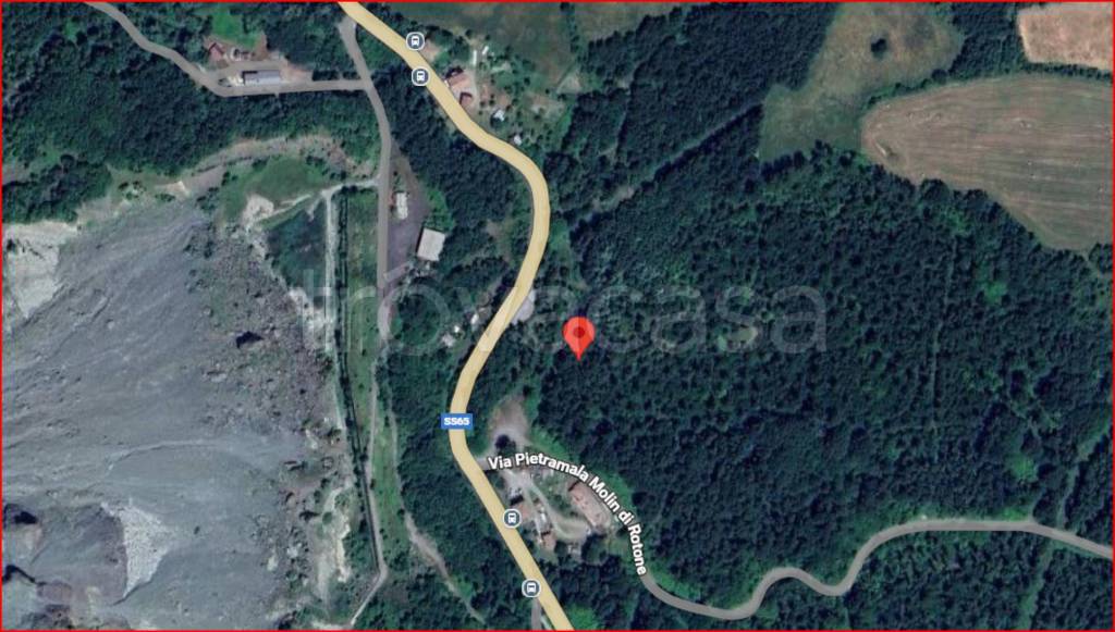 immagine annuncio 11 di 12