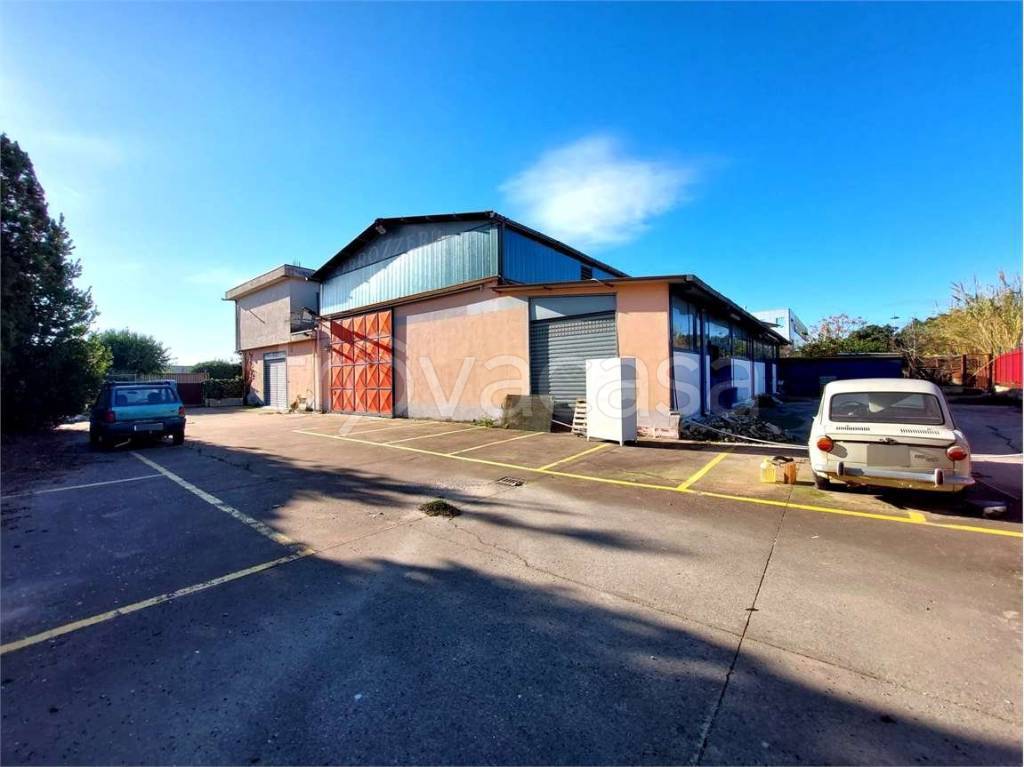 immagine annuncio 2 di 7