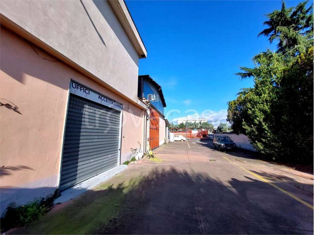 immagine annuncio 3 di 7