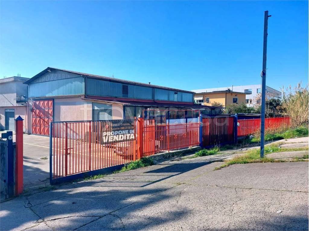 immagine annuncio 4 di 7