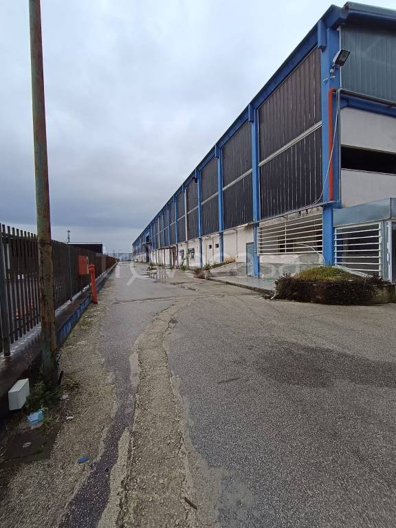 immagine annuncio 1 di 4