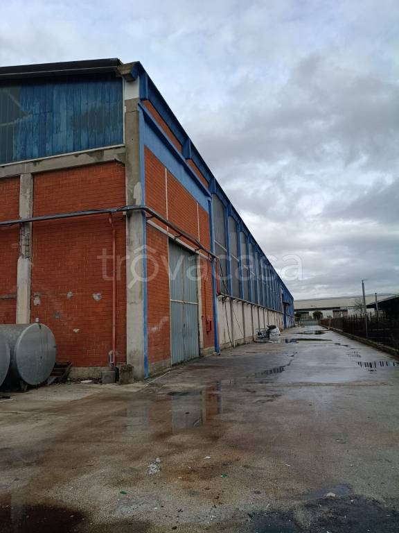 immagine annuncio 2 di 4