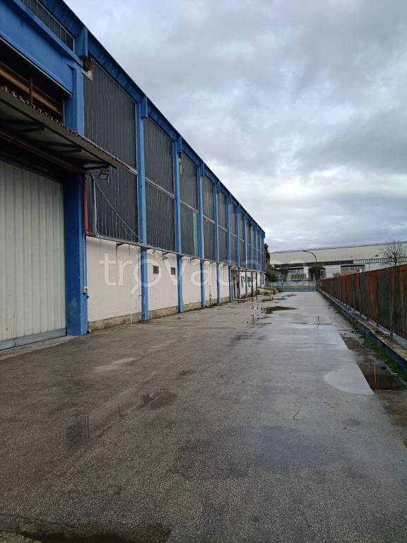 immagine annuncio 3 di 4