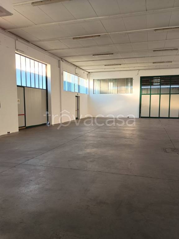 immagine annuncio 1 di 6