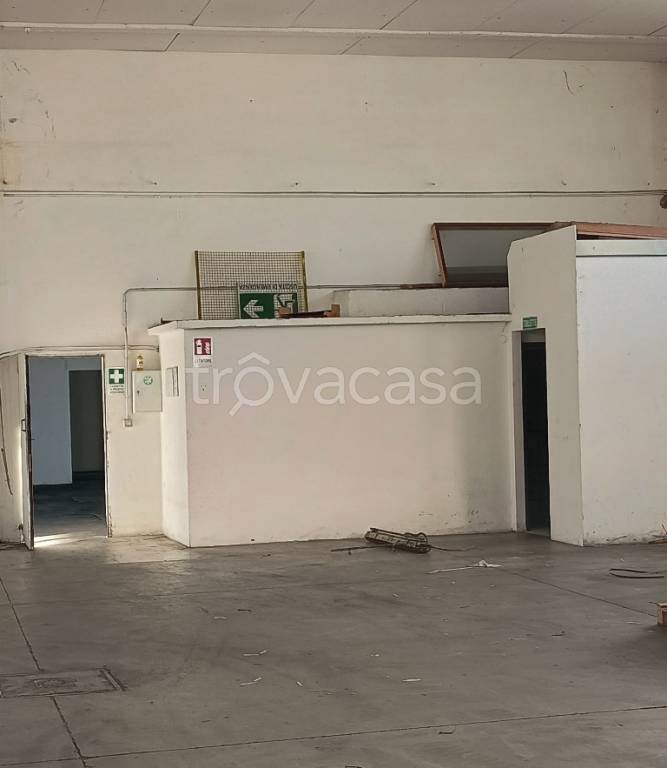 immagine annuncio 2 di 6