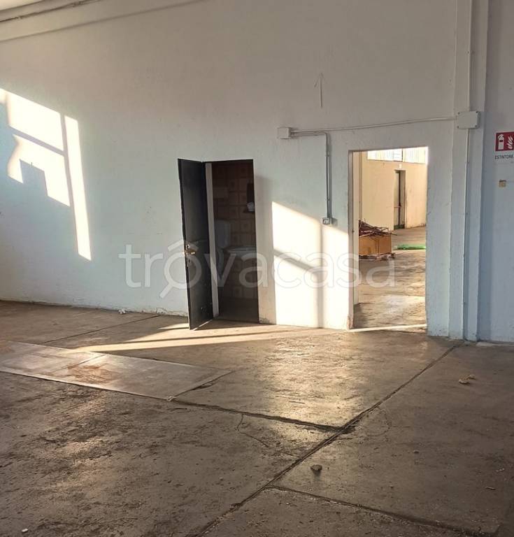 immagine annuncio 4 di 6