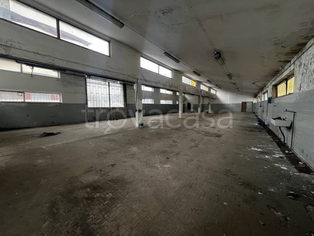 immagine annuncio 3 di 9