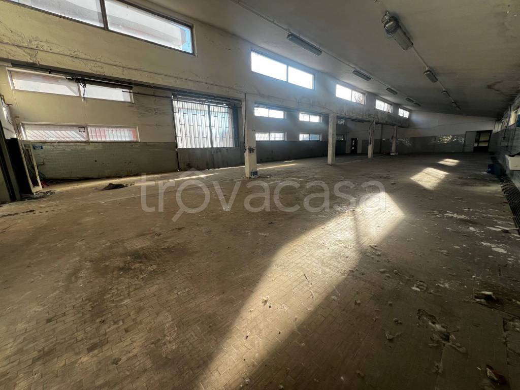 immagine annuncio 8 di 9