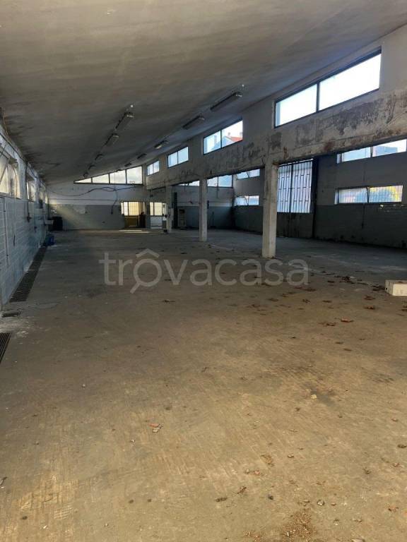 immagine annuncio 4 di 9