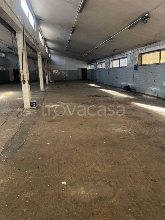 immagine annuncio 7 di 9