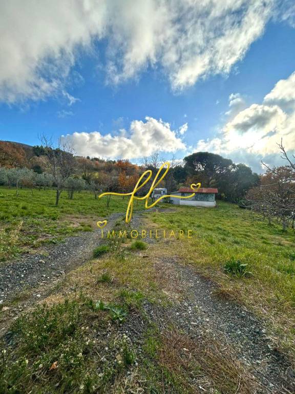 immagine annuncio 2 di 8