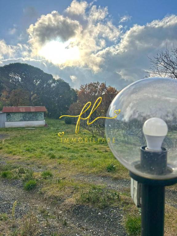 immagine annuncio 4 di 8