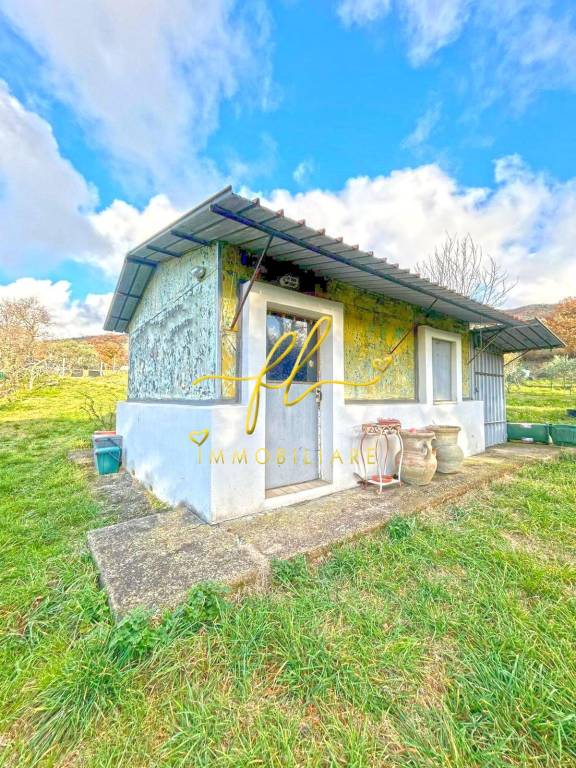 immagine annuncio 1 di 8