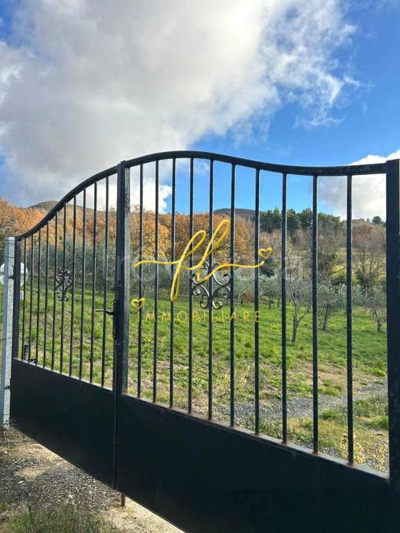 immagine annuncio 5 di 8