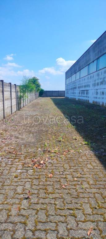 immagine annuncio 2 di 9