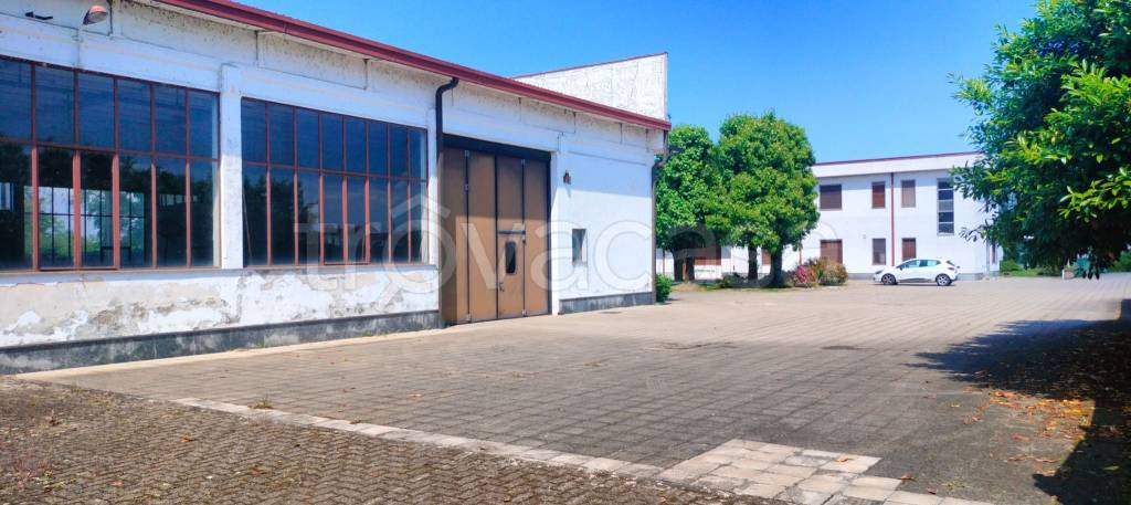 immagine annuncio 3 di 9