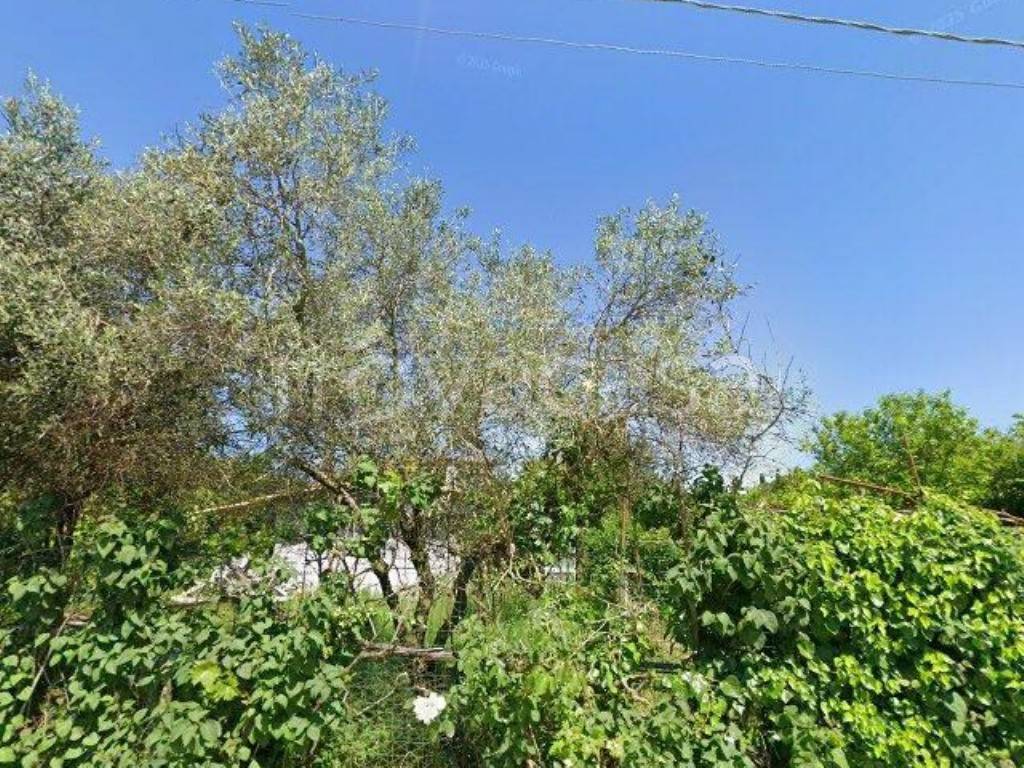 immagine annuncio 3 di 4