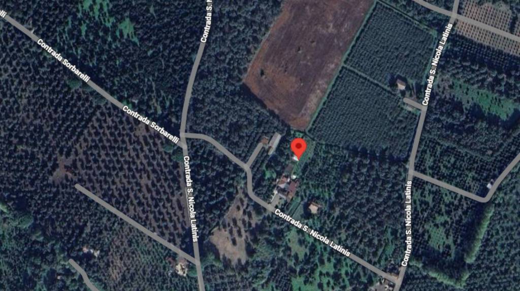 immagine annuncio 12 di 13