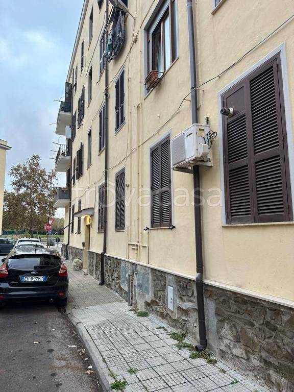 immagine annuncio 3 di 12