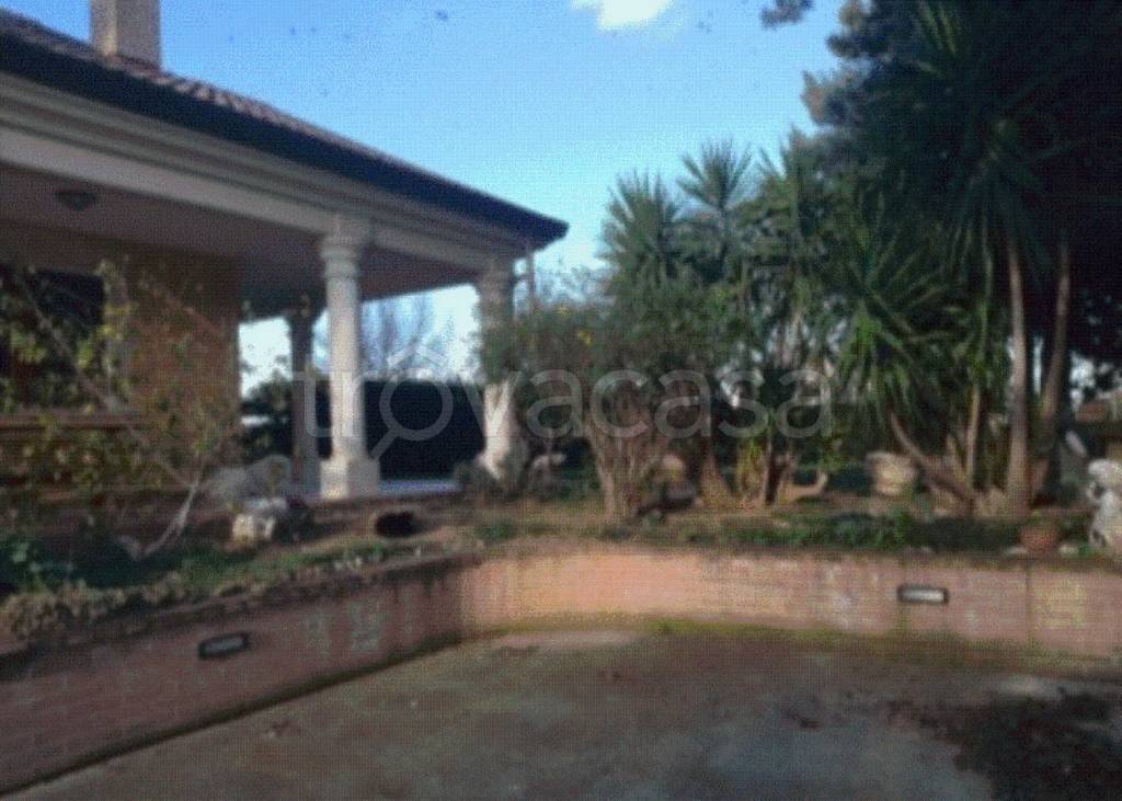 immagine annuncio 8 di 11