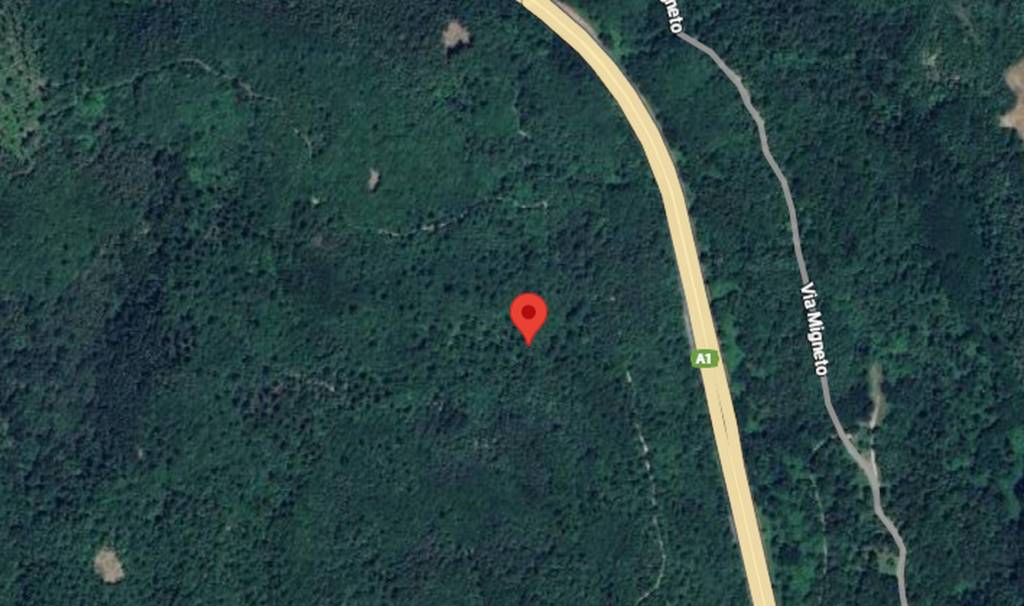 immagine annuncio 3 di 11