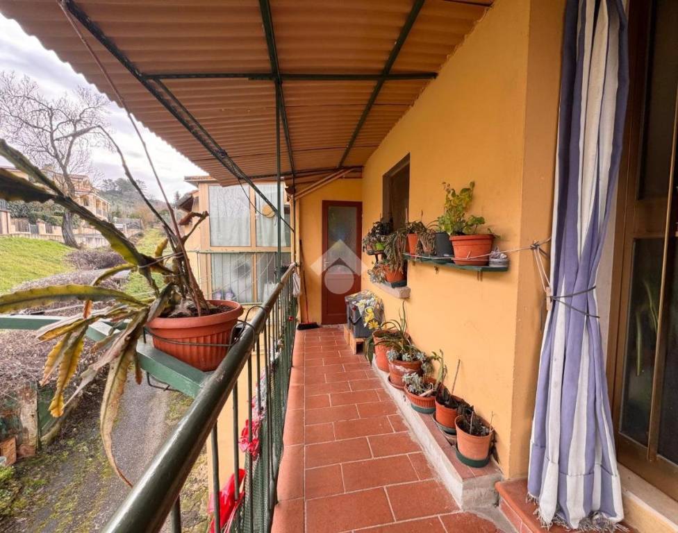 immagine annuncio 12 di 14