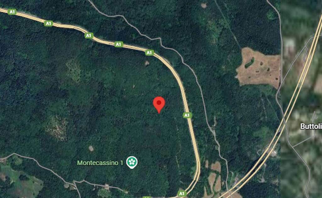 immagine annuncio 4 di 11