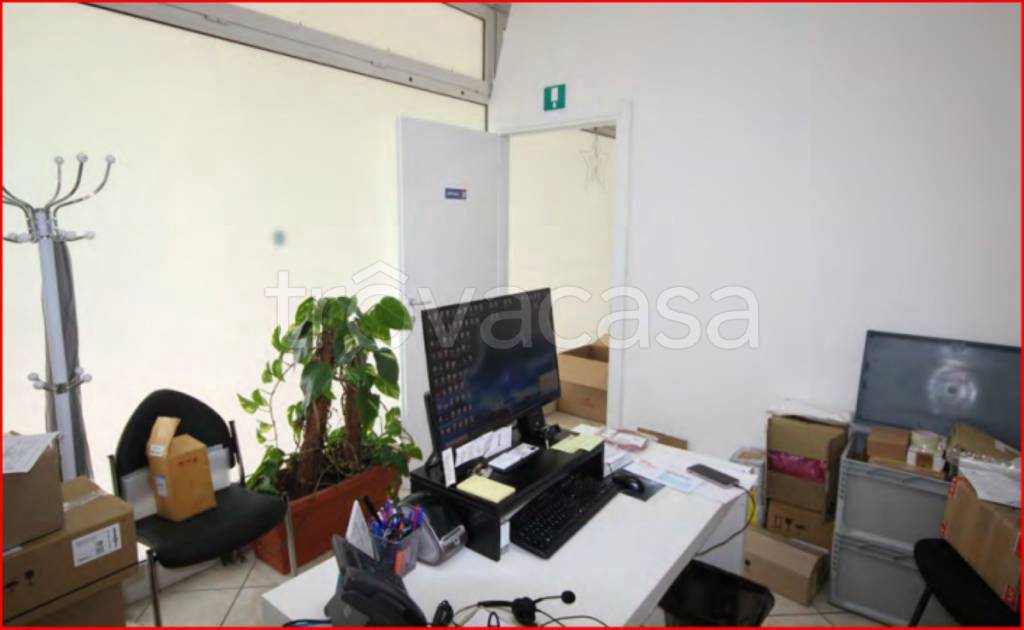 immagine annuncio 4 di 12