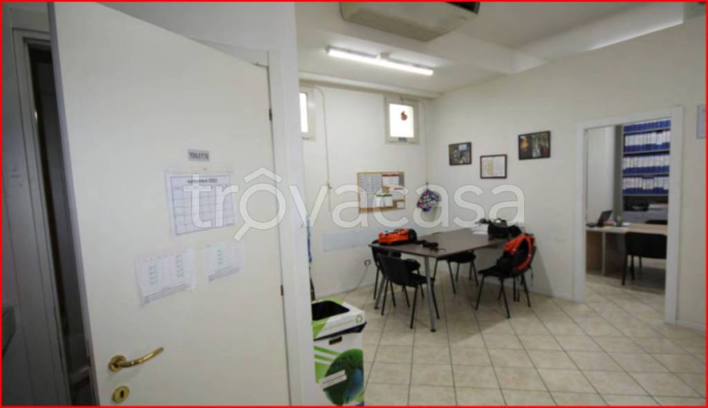 immagine annuncio 5 di 12