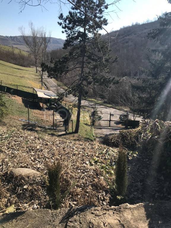 immagine annuncio 6 di 8