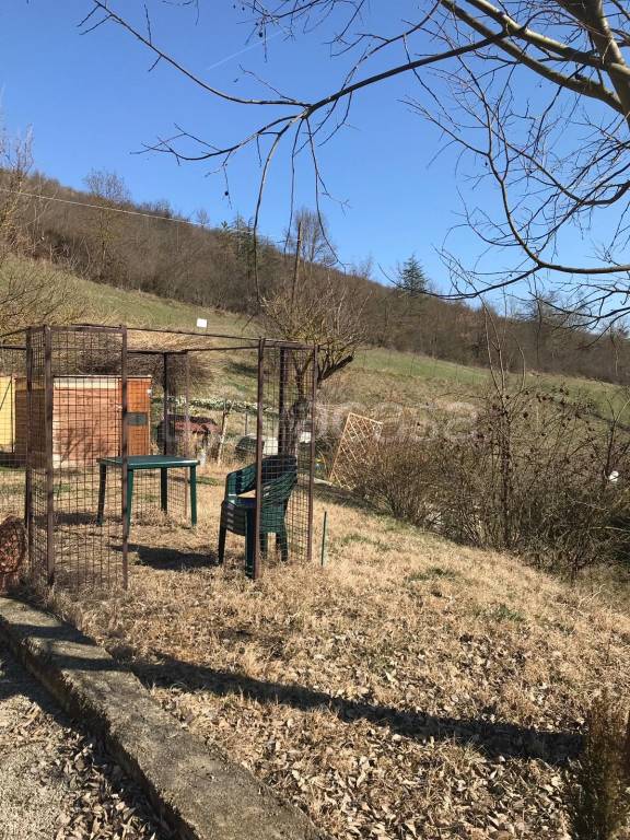 immagine annuncio 7 di 8