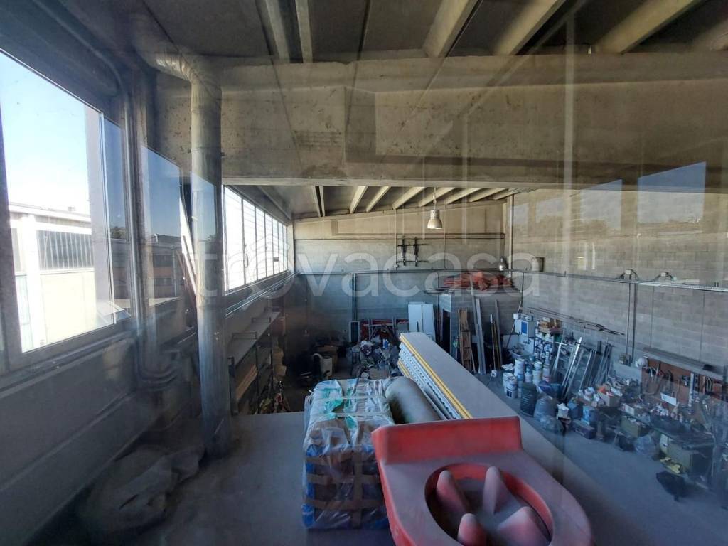 immagine annuncio 9 di 15