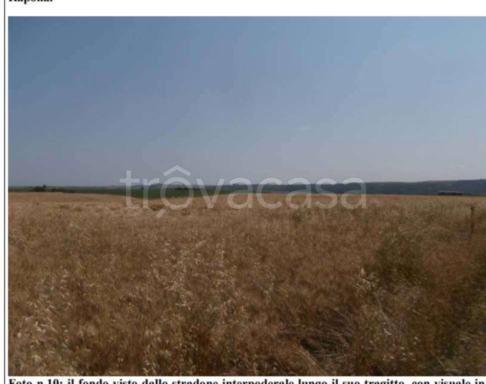 immagine annuncio 10 di 11