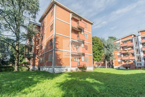 immagine annuncio 3 di 6