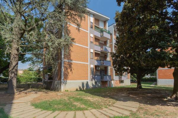 immagine annuncio 4 di 6