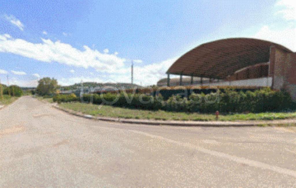 immagine annuncio 4 di 11