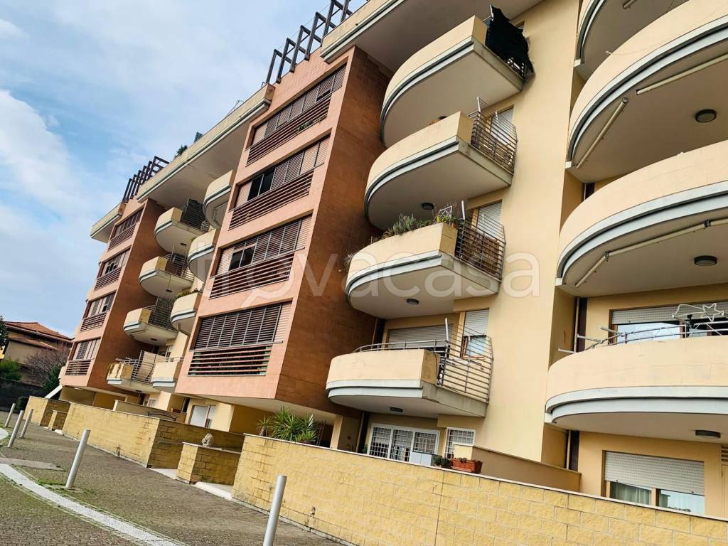 immagine annuncio 12 di 13