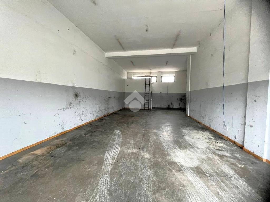 immagine annuncio 1 di 7