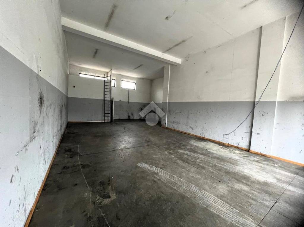 immagine annuncio 2 di 7