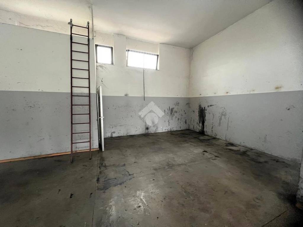 immagine annuncio 3 di 7