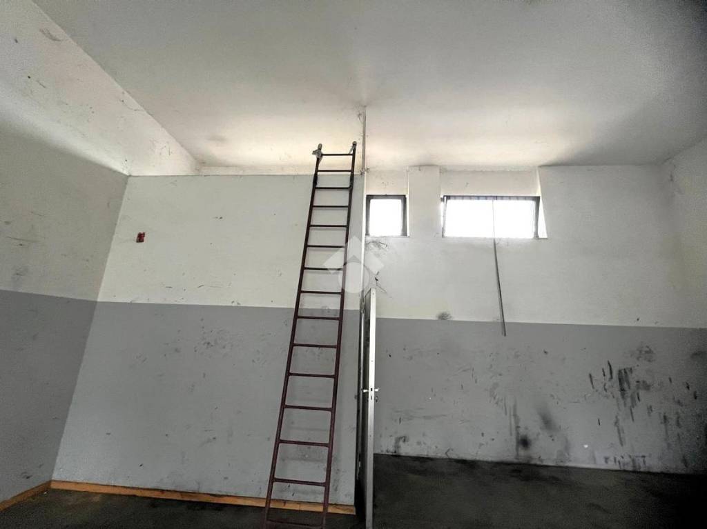 immagine annuncio 5 di 7