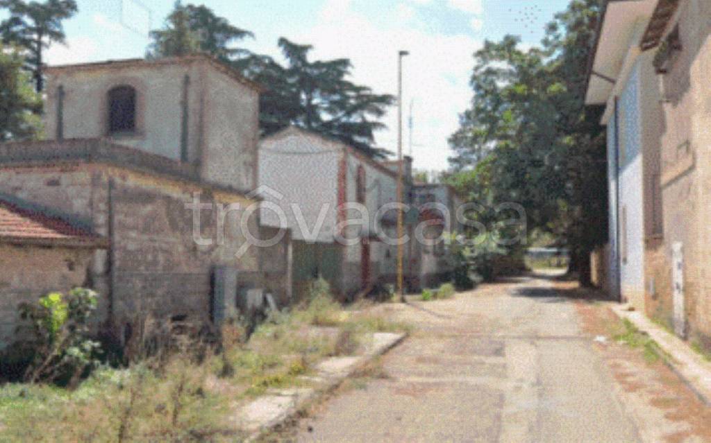 immagine annuncio 8 di 11