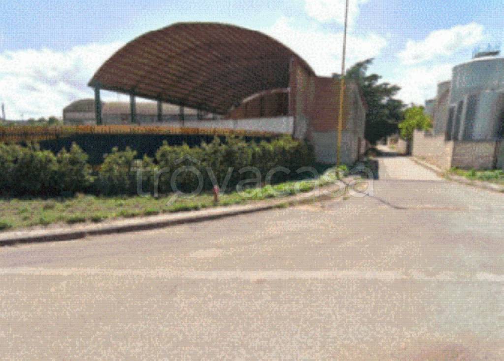 immagine annuncio 9 di 11